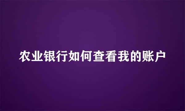 农业银行如何查看我的账户