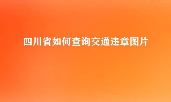 四川省如何查询交通违章图片