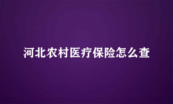 河北农村医疗保险怎么查