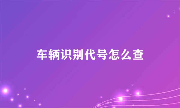 车辆识别代号怎么查