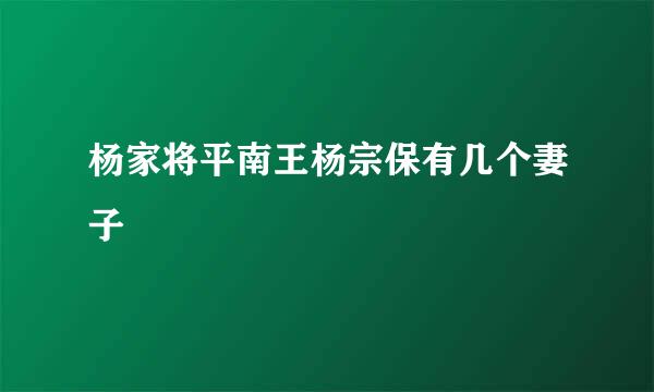 杨家将平南王杨宗保有几个妻子
