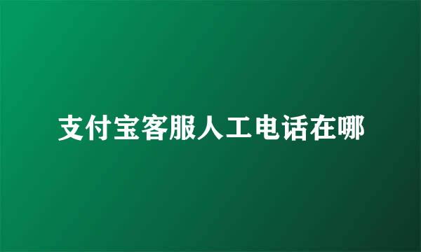 支付宝客服人工电话在哪