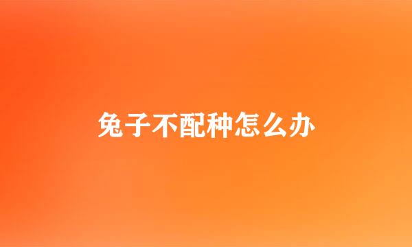 兔子不配种怎么办