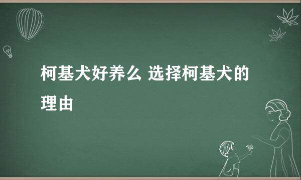 柯基犬好养么 选择柯基犬的理由