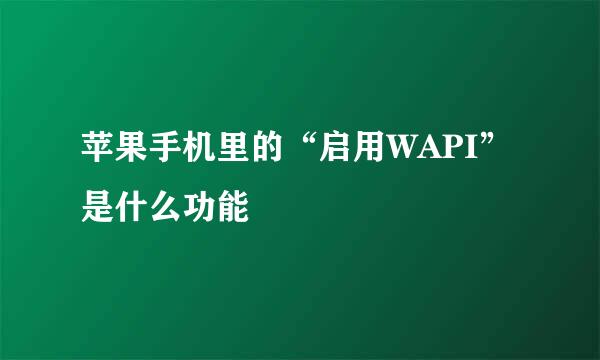 苹果手机里的“启用WAPI”是什么功能