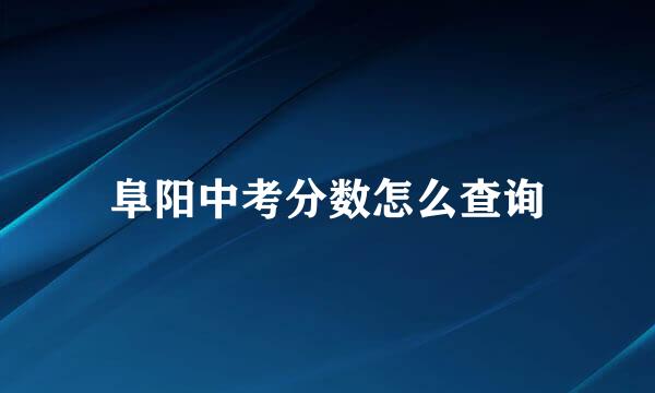 阜阳中考分数怎么查询