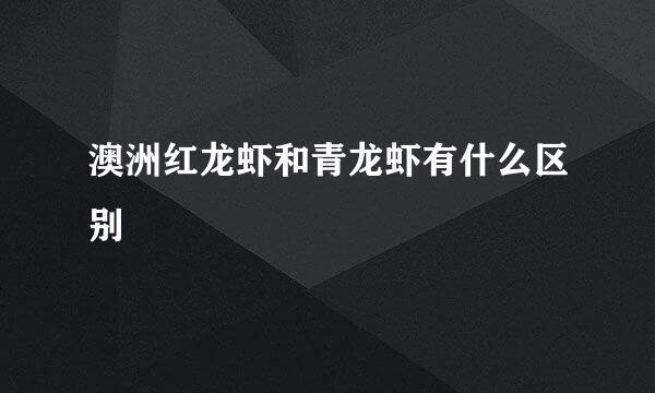 澳洲红龙虾和青龙虾有什么区别