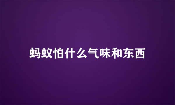 蚂蚁怕什么气味和东西