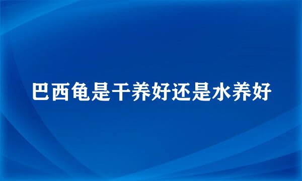 巴西龟是干养好还是水养好