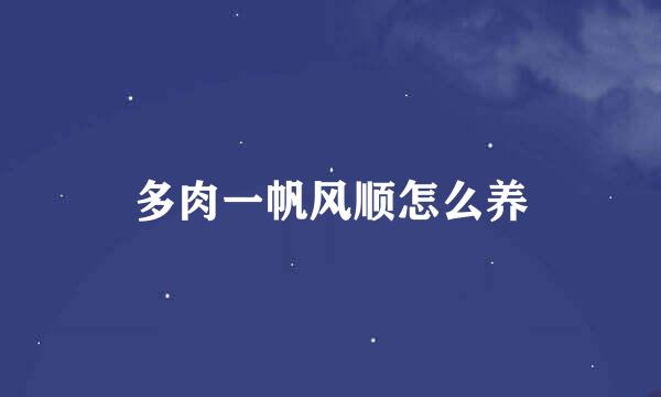 多肉一帆风顺怎么养