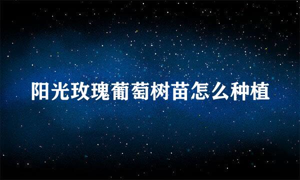 阳光玫瑰葡萄树苗怎么种植
