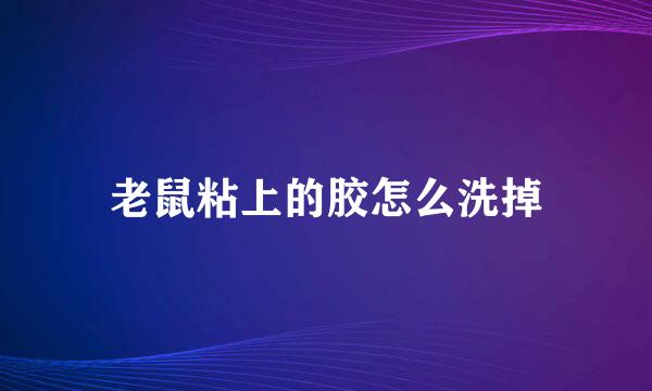 老鼠粘上的胶怎么洗掉