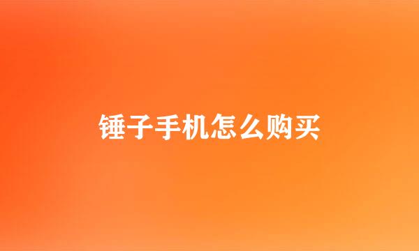 锤子手机怎么购买