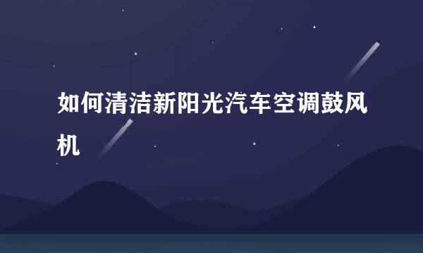 如何清洁新阳光汽车空调鼓风机