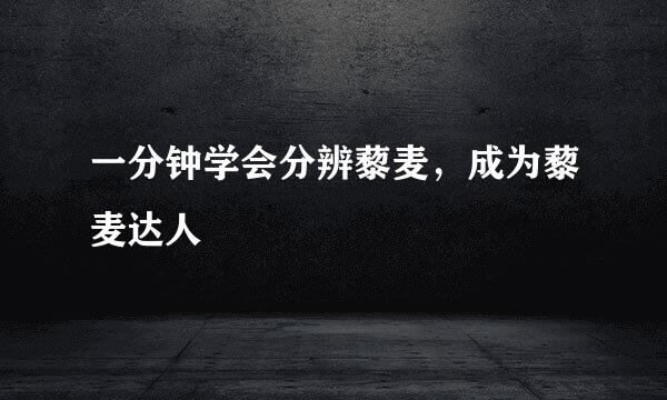 一分钟学会分辨藜麦，成为藜麦达人