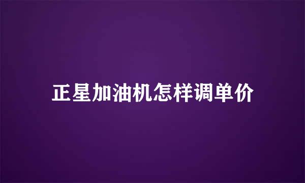 正星加油机怎样调单价