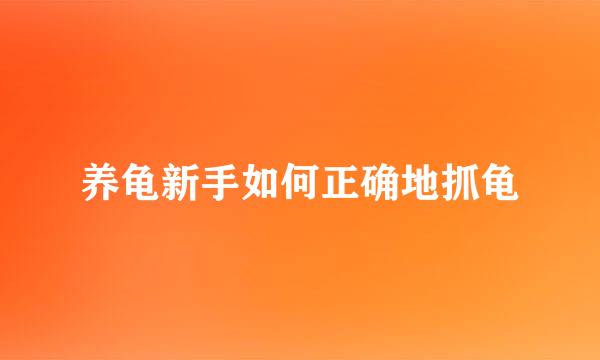 养龟新手如何正确地抓龟