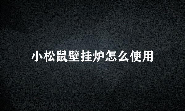 小松鼠壁挂炉怎么使用