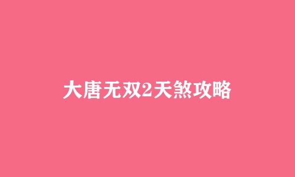 大唐无双2天煞攻略