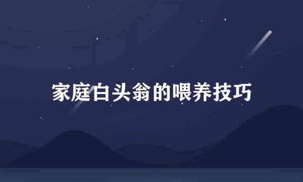 家庭白头翁的喂养技巧
