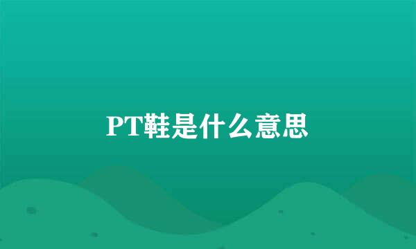 PT鞋是什么意思