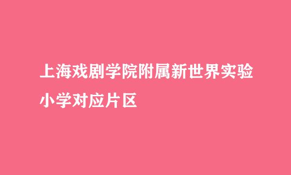 上海戏剧学院附属新世界实验小学对应片区