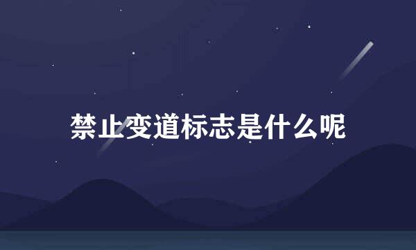 禁止变道标志是什么呢