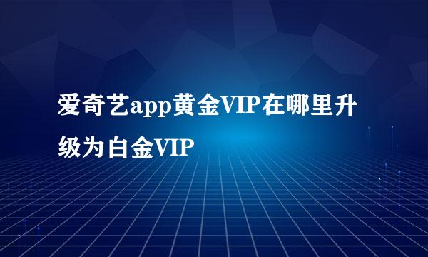 爱奇艺app黄金VIP在哪里升级为白金VIP