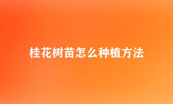桂花树苗怎么种植方法