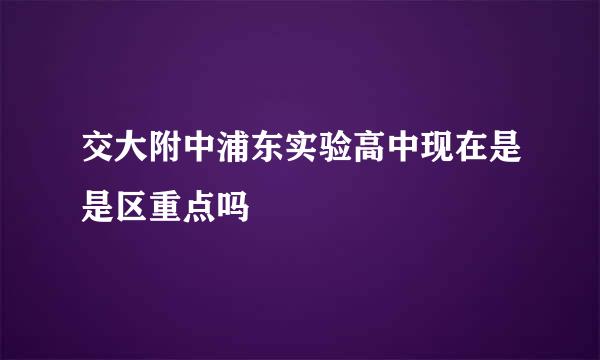 交大附中浦东实验高中现在是是区重点吗