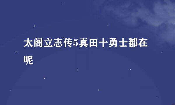 太阁立志传5真田十勇士都在呢