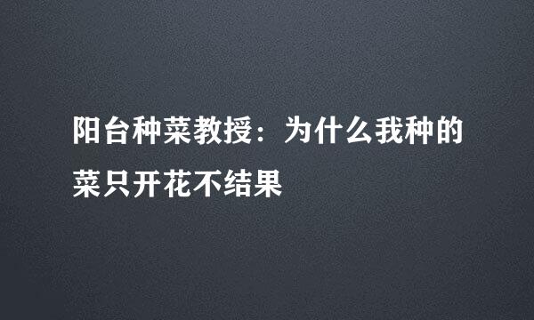 阳台种菜教授：为什么我种的菜只开花不结果