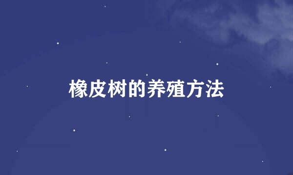 橡皮树的养殖方法