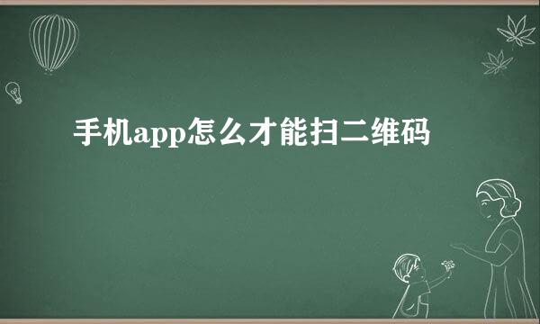 手机app怎么才能扫二维码
