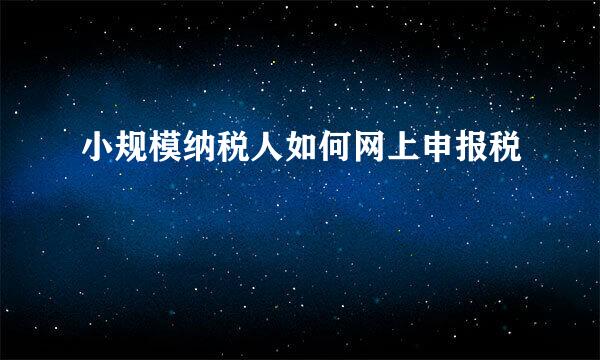 小规模纳税人如何网上申报税