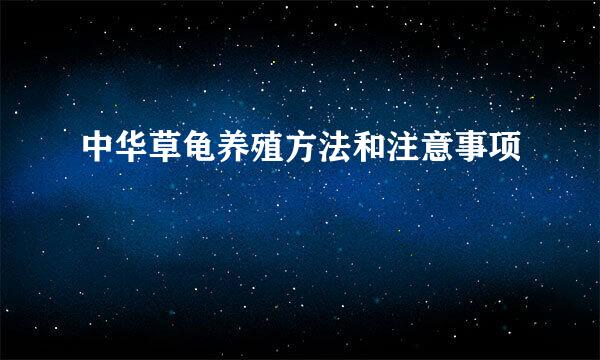 中华草龟养殖方法和注意事项