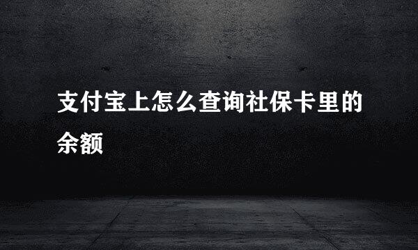 支付宝上怎么查询社保卡里的余额