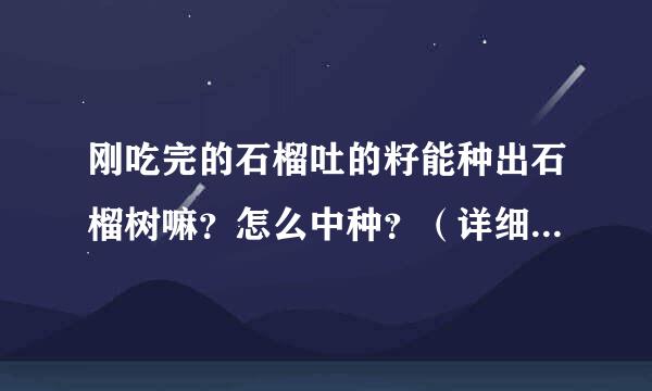 刚吃完的石榴吐的籽能种出石榴树嘛？怎么中种？（详细步骤），能种的话长大了会结果嘛