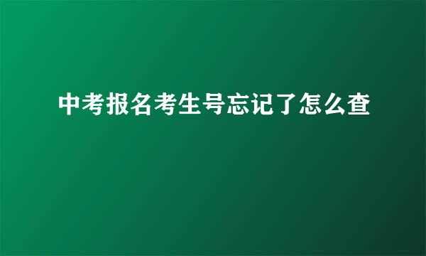 中考报名考生号忘记了怎么查