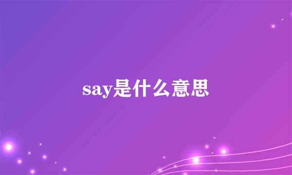 say是什么意思