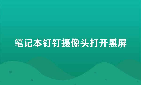 笔记本钉钉摄像头打开黑屏