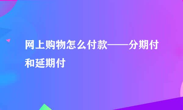 网上购物怎么付款——分期付和延期付