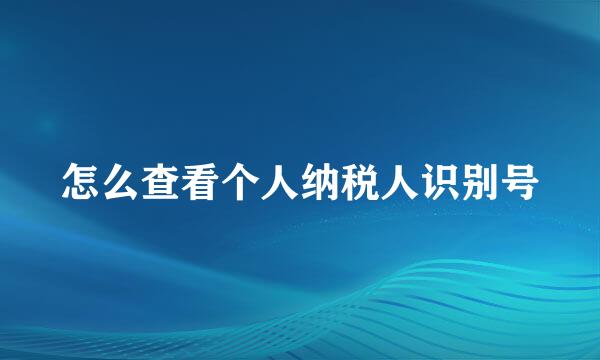 怎么查看个人纳税人识别号