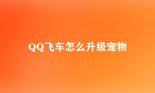 QQ飞车怎么升级宠物