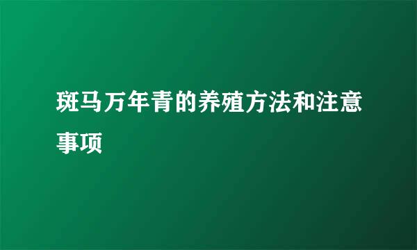 斑马万年青的养殖方法和注意事项