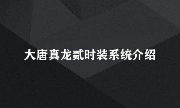 大唐真龙贰时装系统介绍