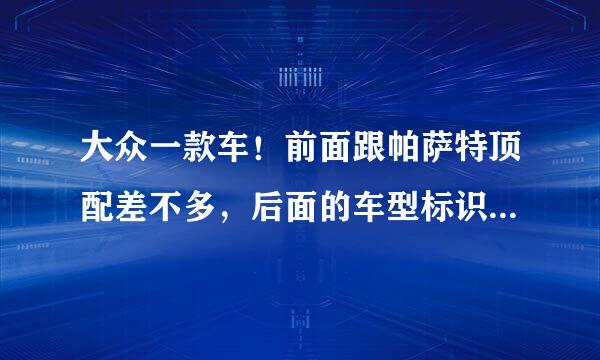 大众一款车！前面跟帕萨特顶配差不多，后面的车型标识在大众标志的下面有一排字母！问问大家这是什么车