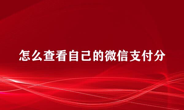 怎么查看自己的微信支付分