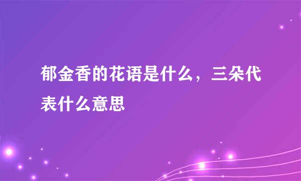 郁金香的花语是什么，三朵代表什么意思