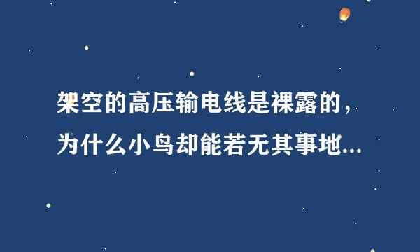 架空的高压输电线是裸露的，为什么小鸟却能若无其事地停在电线上呢